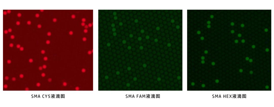 喜讯  博瑞生物两款数字PCR试剂盒获批上市！